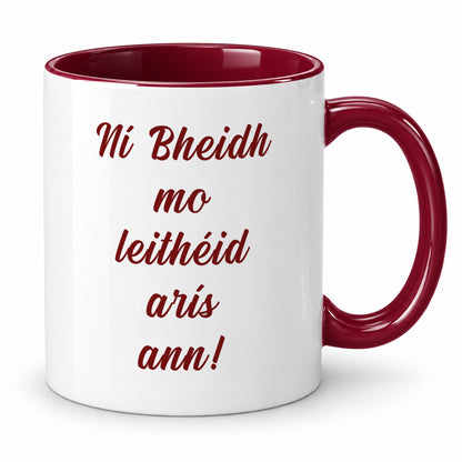 Ní Bheidh Mo Leithéid Arís Ann Mug – Irish Language Gift