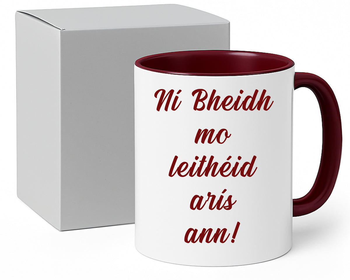 Ní Bheidh Mo Leithéid Arís Ann mug – 11oz ceramic mug on a plain white background