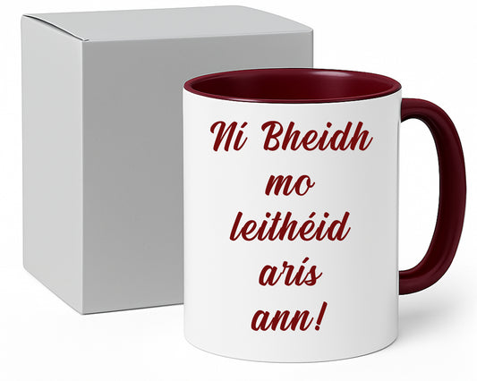 Ní Bheidh Mo Leithéid Arís Ann mug – 11oz ceramic mug on a plain white background
