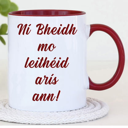 Ní Bheidh Mo Leithéid Arís Ann | As Gaeilge Mug