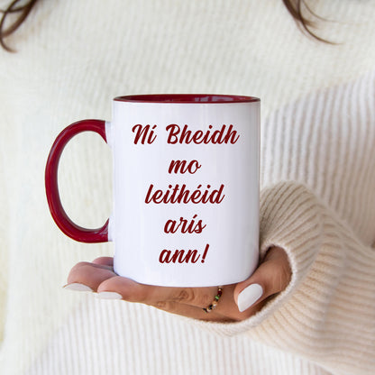 Ní Bheidh Mo Leithéid Arís Ann | As Gaeilge Mug