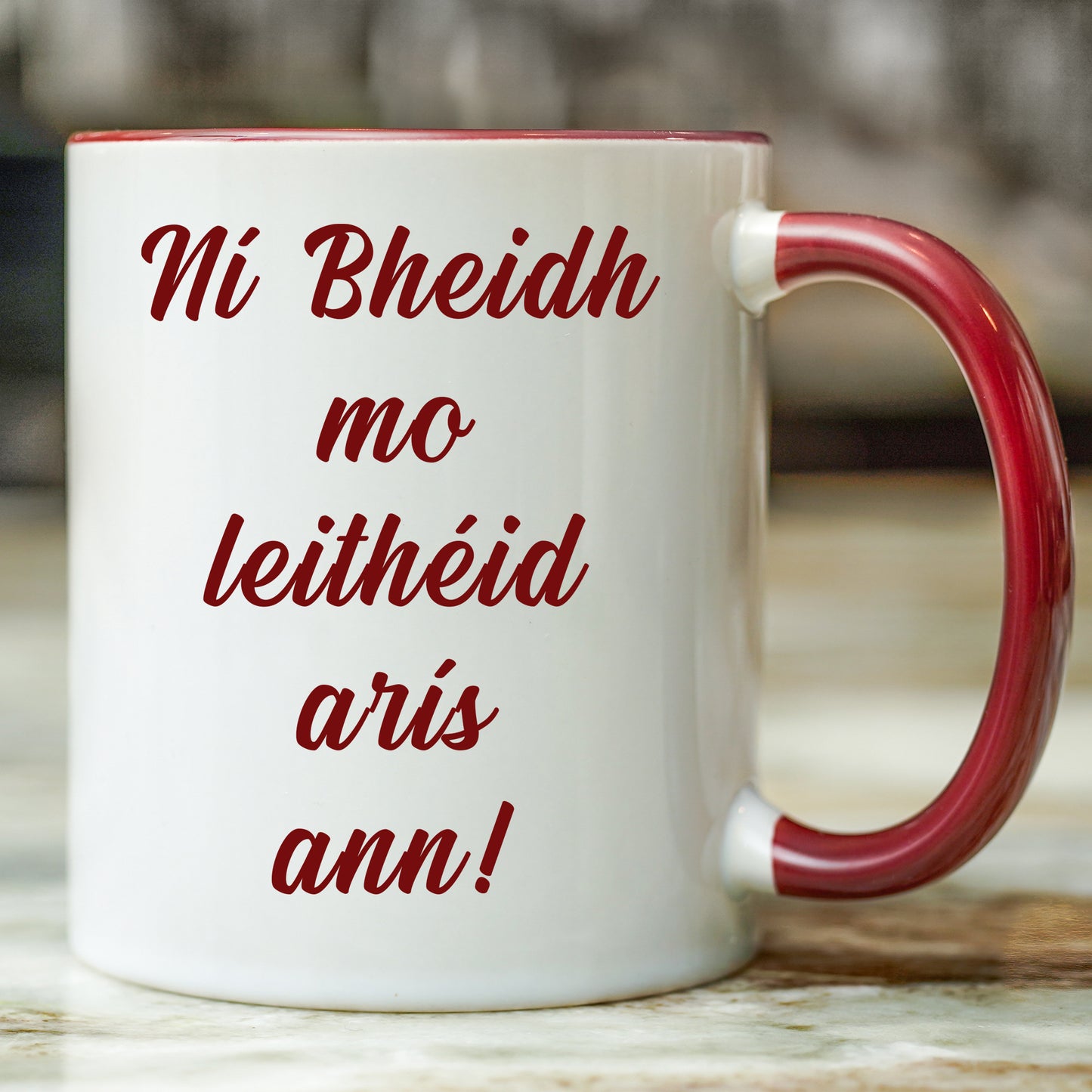Ní Bheidh Mo Leithéid Arís Ann | As Gaeilge Mug