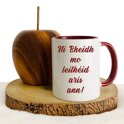Ní Bheidh Mo Leithéid Arís Ann | As Gaeilge Mug