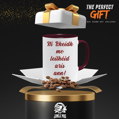 Ní Bheidh Mo Leithéid Arís Ann | As Gaeilge Mug