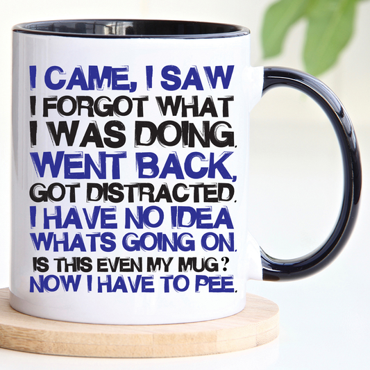 I came I saw Mug