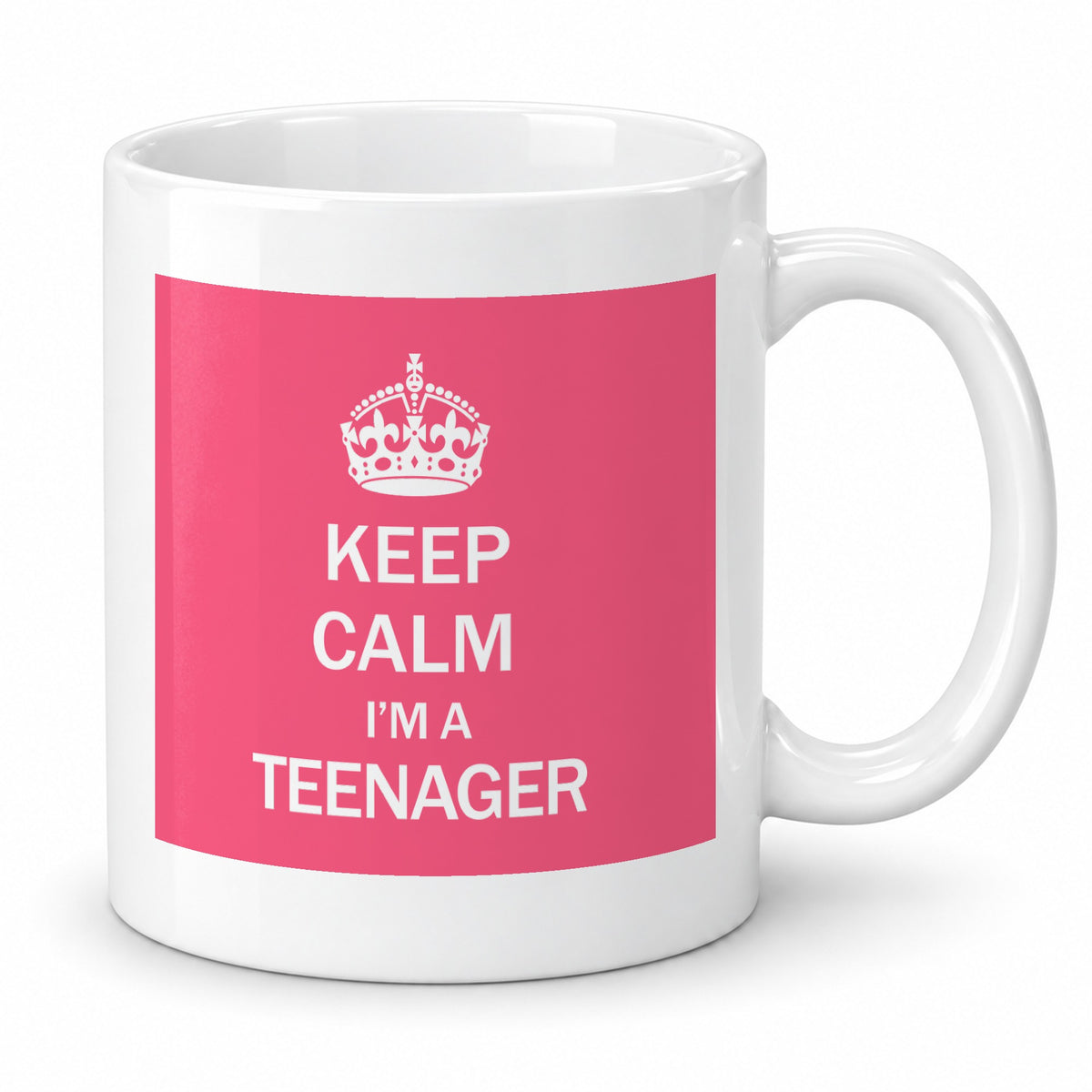 Teenager Mug – Funny Gift for Teens – Birthday Gift
